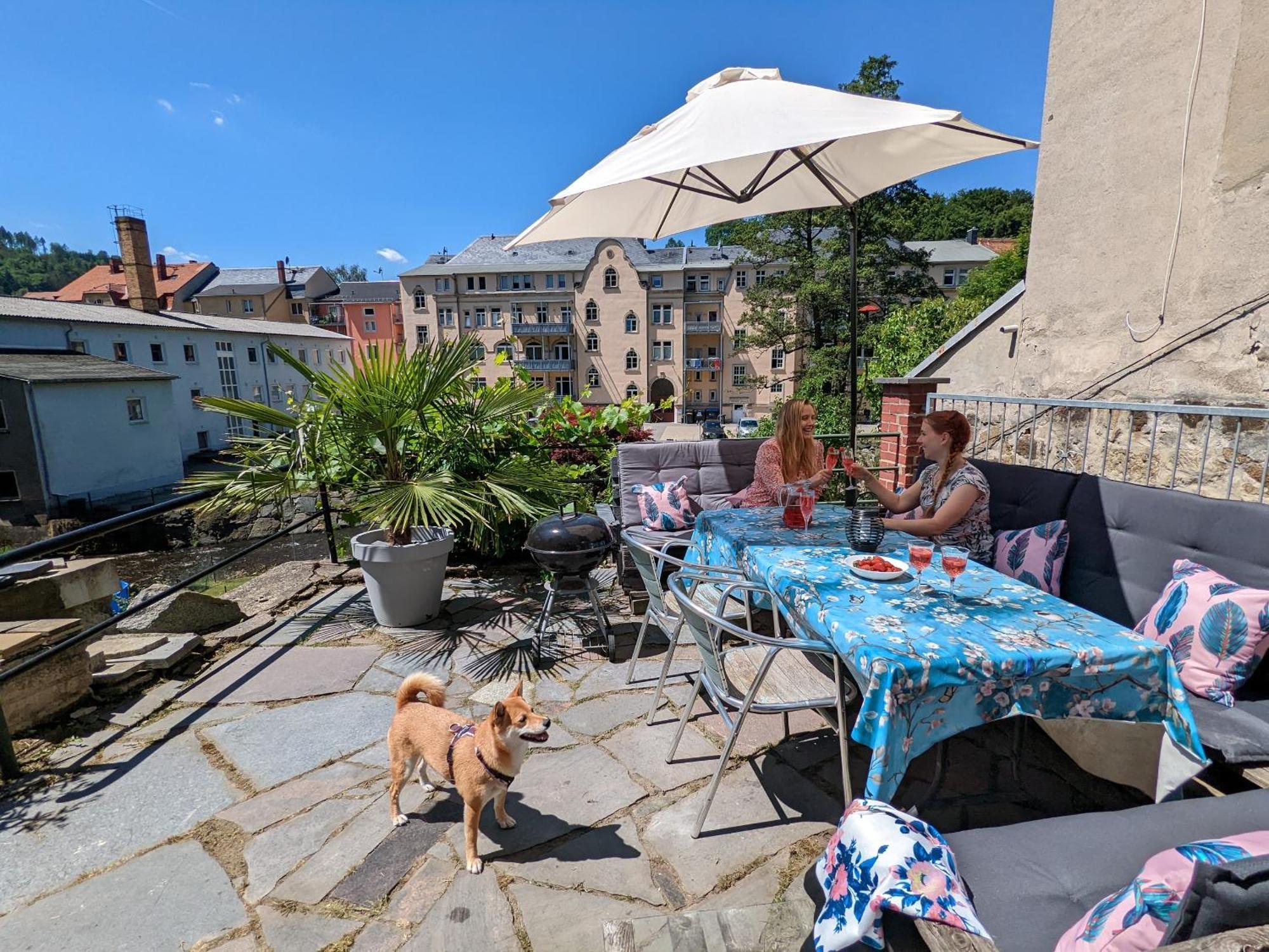 F3 Urlaubsmagie - Pool, Garten & Terrasse - 4P Sebnitz Eksteriør bilde