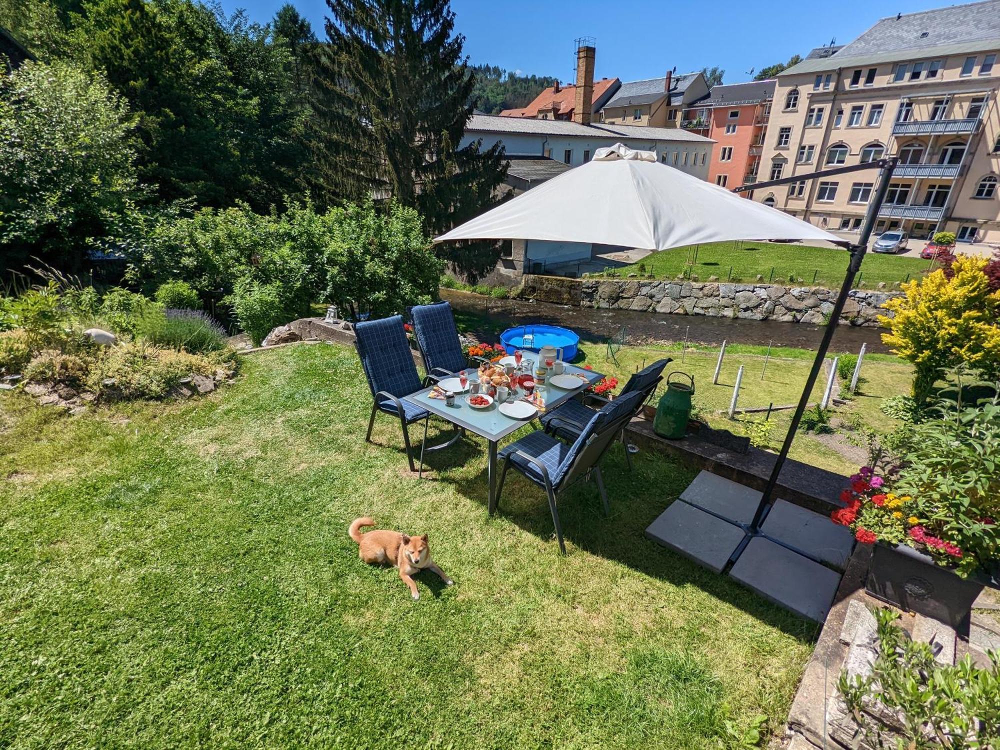 F3 Urlaubsmagie - Pool, Garten & Terrasse - 4P Sebnitz Eksteriør bilde