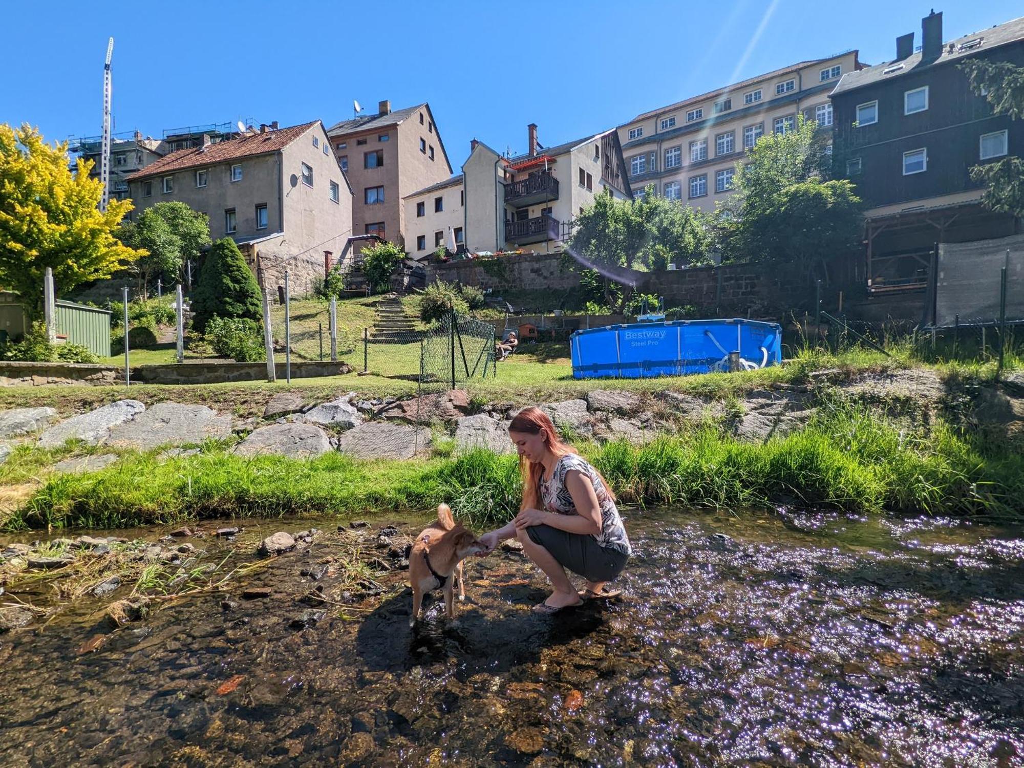 F3 Urlaubsmagie - Pool, Garten & Terrasse - 4P Sebnitz Eksteriør bilde