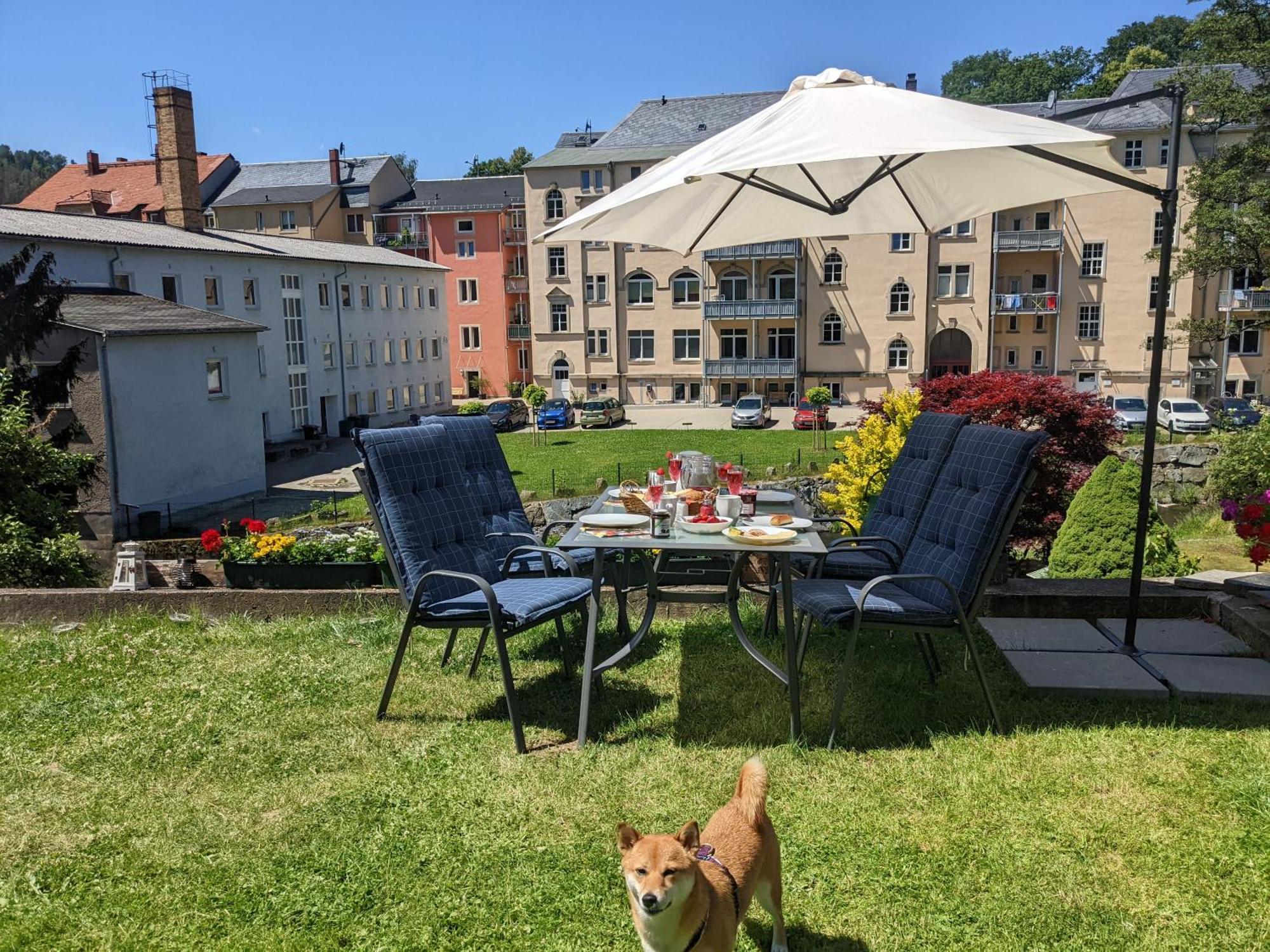 F3 Urlaubsmagie - Pool, Garten & Terrasse - 4P Sebnitz Eksteriør bilde