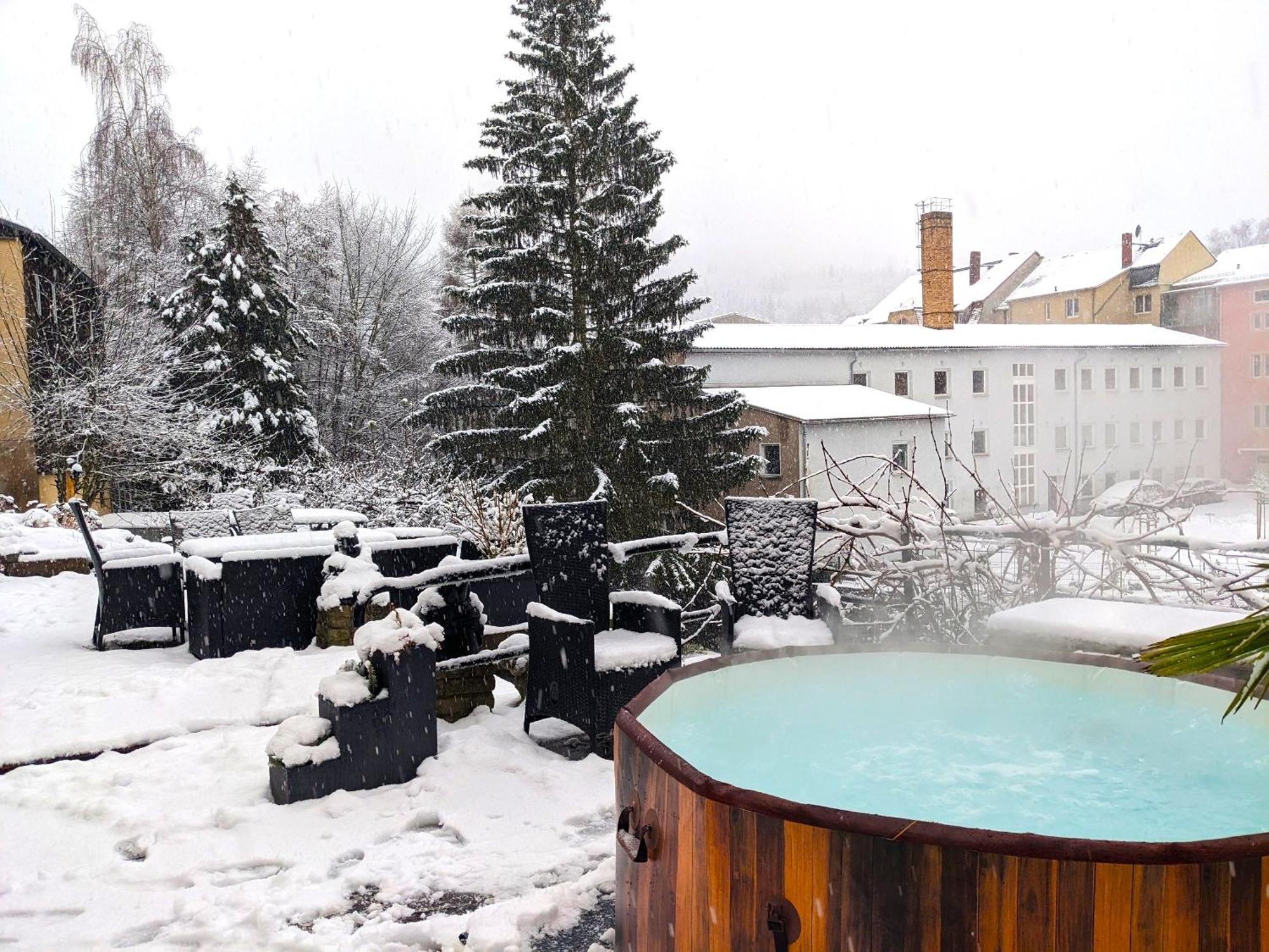 F3 Urlaubsmagie - Pool, Garten & Terrasse - 4P Sebnitz Eksteriør bilde