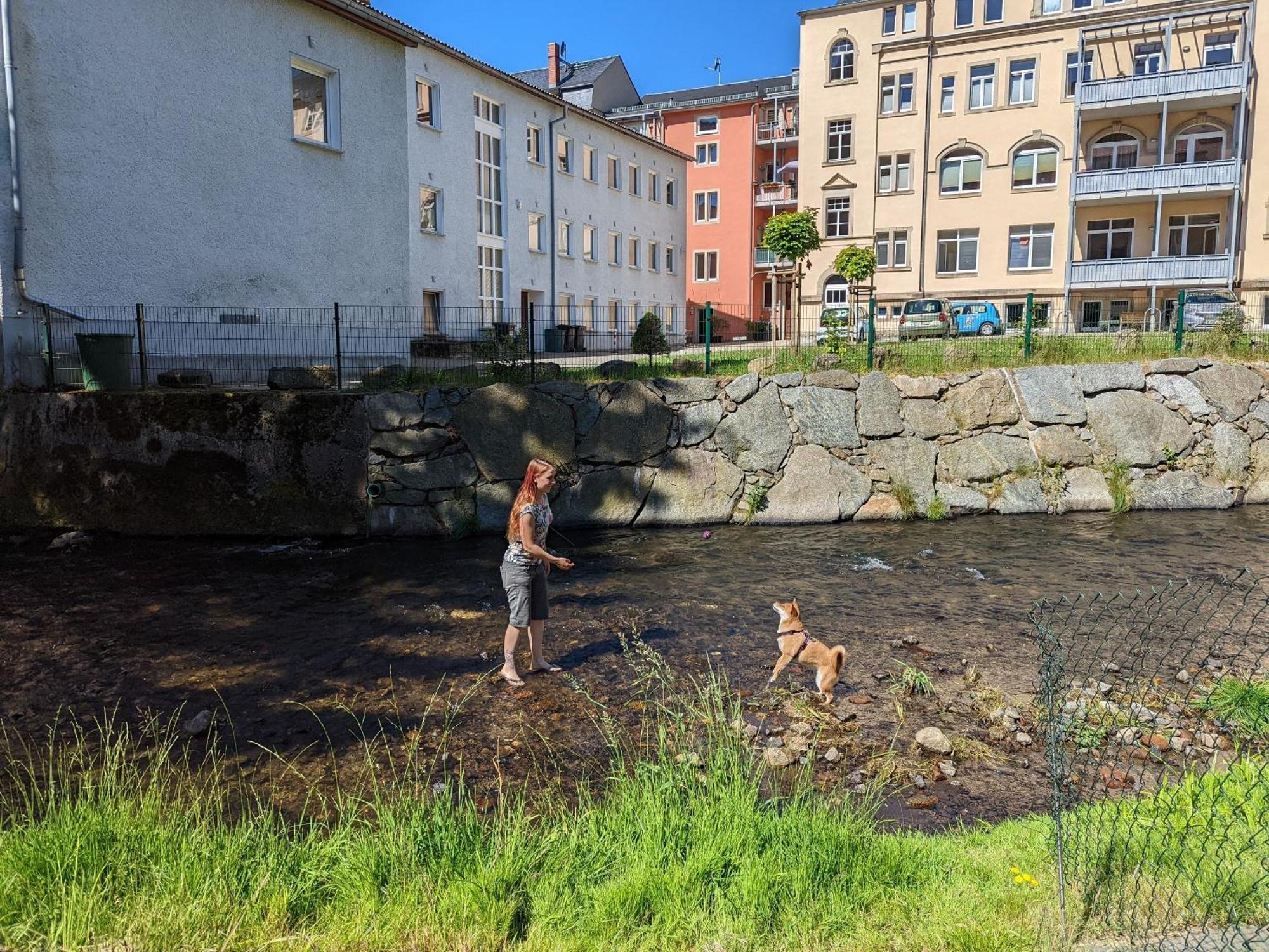F3 Urlaubsmagie - Pool, Garten & Terrasse - 4P Sebnitz Eksteriør bilde
