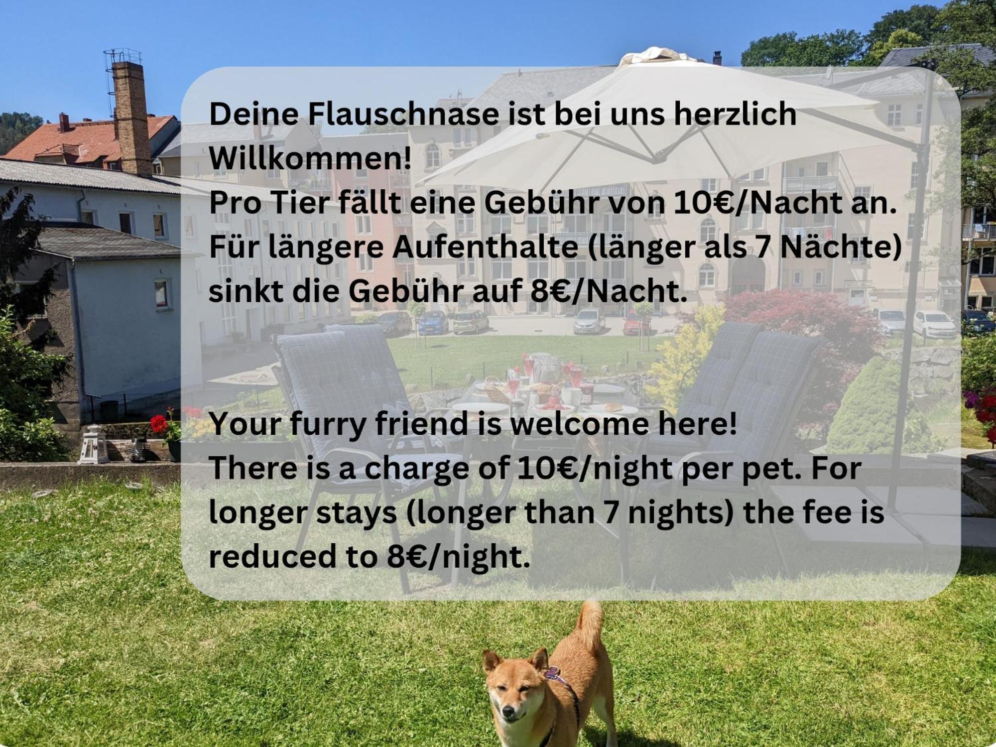 F3 Urlaubsmagie - Pool, Garten & Terrasse - 4P Sebnitz Eksteriør bilde